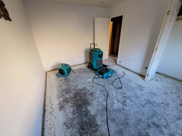 Water damage restoration experts in Clearwater, SC
