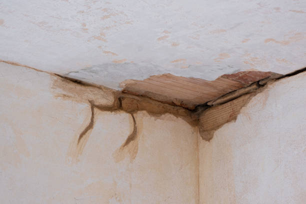 Best Basement water damage restoration  in Clearwater, SC