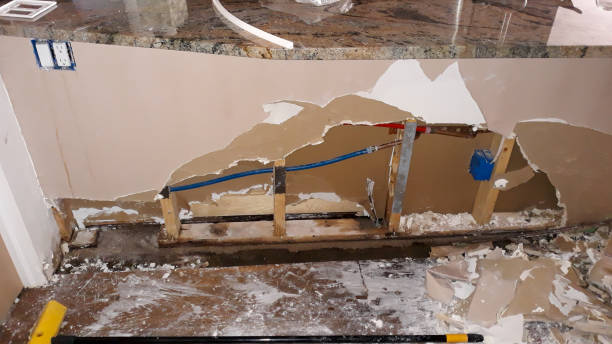 Best Ceiling water damage repair  in Clearwater, SC