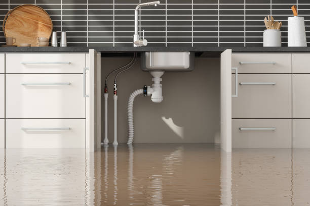 Trusted Clearwater, SC Water damage restoration Experts