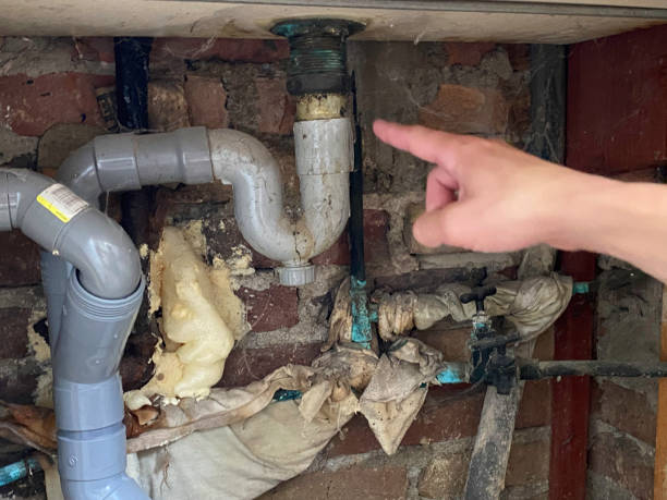 Best 24/7 water damage repair  in Clearwater, SC