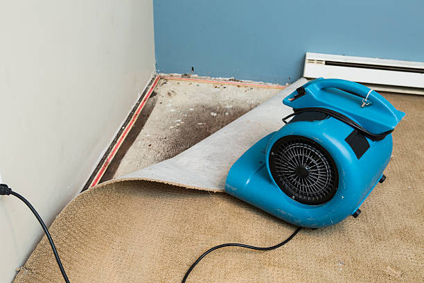 Best Flood damage cleanup  in Clearwater, SC